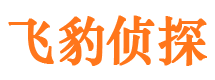 忻府市私家侦探